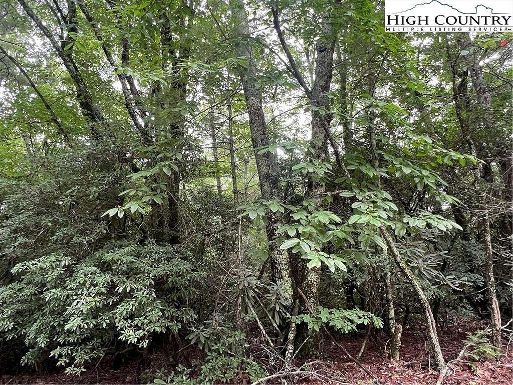 0.85 Acres of Land for Sale in Spruce Pine, North Carolina