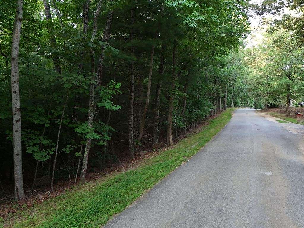 1 Acre of Land for Sale in Blairsville, Georgia