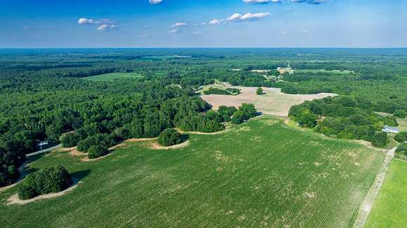 6.19 Acres of Residential Land for Sale in Denmark, South Carolina