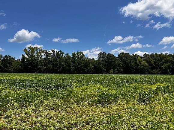 69.12 Acres of Recreational Land & Farm for Sale in Summerton, South Carolina