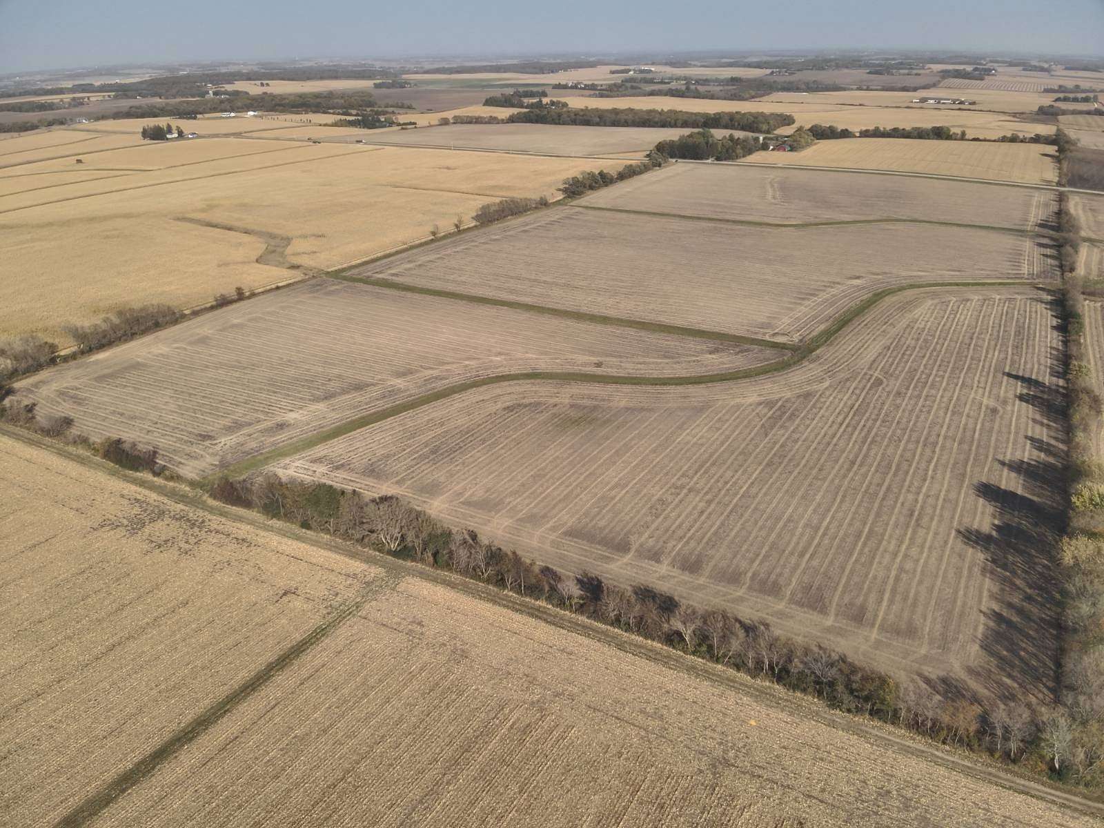 170.6 Acres of Agricultural Land for Auction in Kasson, Minnesota