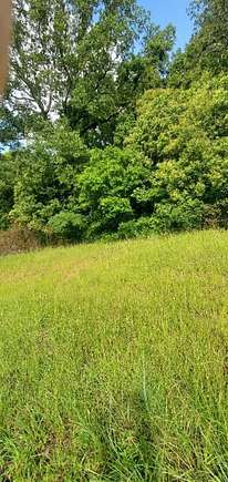 0.32 Acres of Residential Land for Sale in Columbus, Georgia