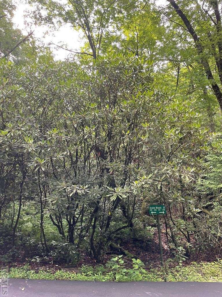 1.5 Acres of Residential Land for Sale in Highlands, North Carolina