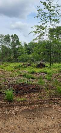 31 Acres of Land for Sale in Lebanon, Maine