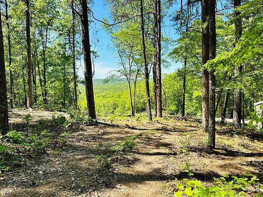 0.45 Acres of Residential Land for Sale in Horseshoe Bend, Arkansas