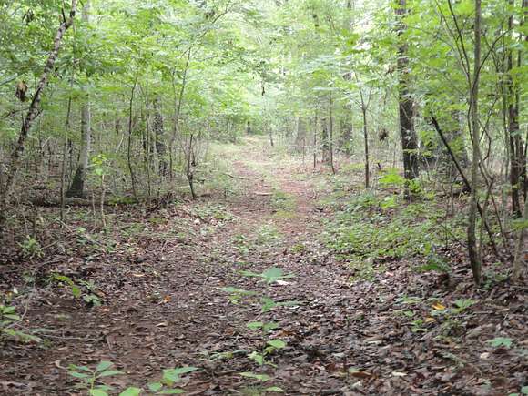 43.5 Acres of Land for Sale in Englewood, Tennessee