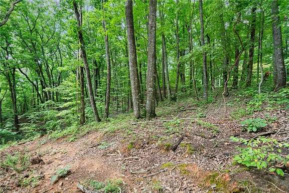 5 Acres of Residential Land for Sale in Jasper, Georgia