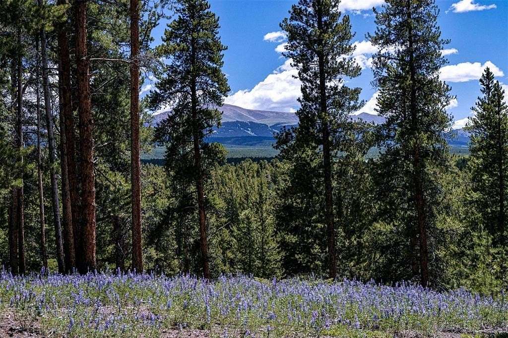 3.012 Acres of Residential Land for Sale in Leadville, Colorado