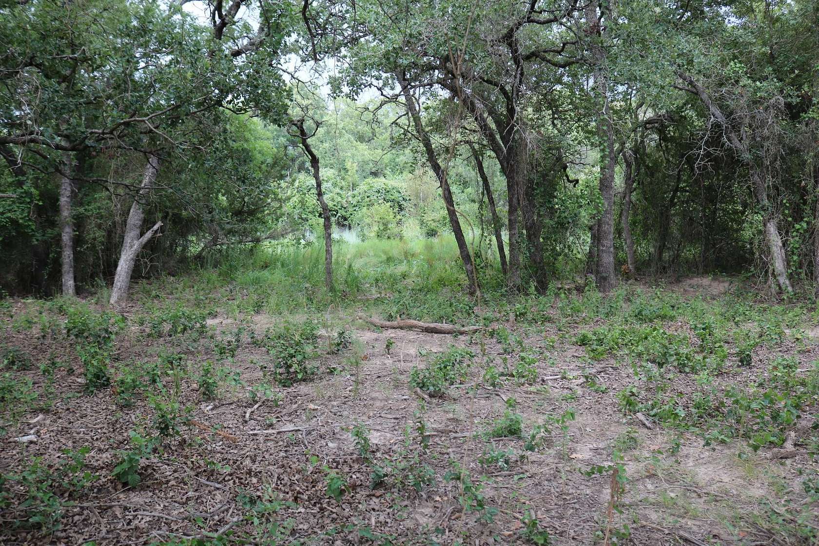 5 Acres of Residential Land for Sale in Perrin, Texas