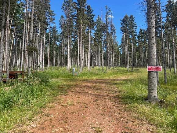 19.3 Acres of Recreational Land for Sale in Angel Fire, New Mexico