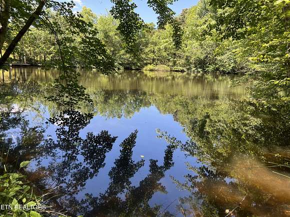 136.1 Acres of Recreational Land & Farm for Sale in Loudon, Tennessee