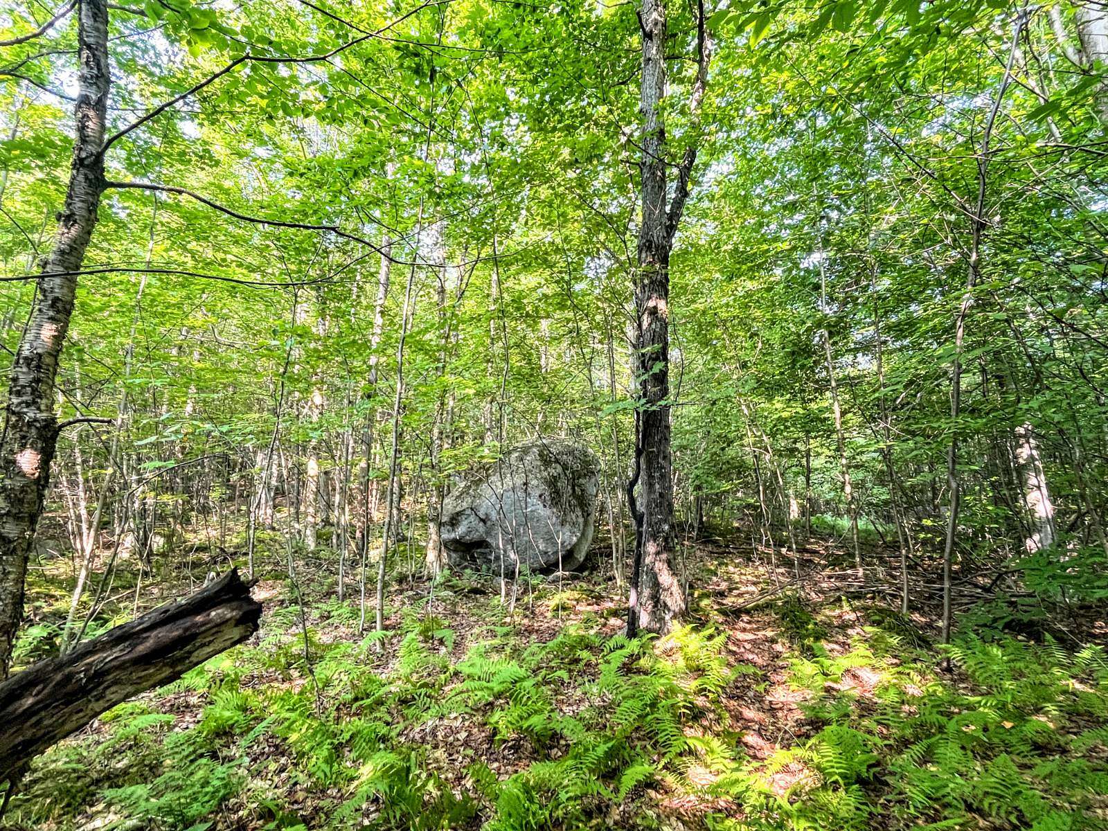 25 Acres of Recreational Land for Sale in St. Regis Falls, New York