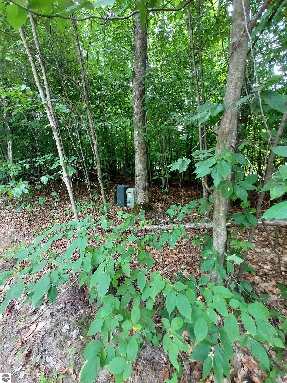 0.5 Acres of Land for Sale in Bellaire, Michigan