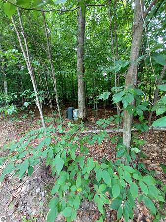 0.5 Acres of Land for Sale in Bellaire, Michigan