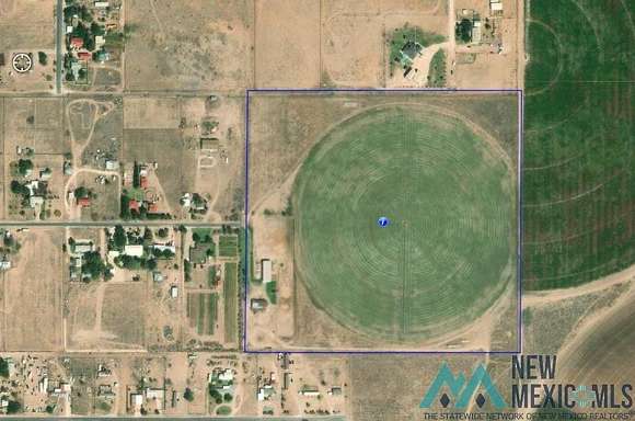 41.82 Acres of Agricultural Land for Sale in Hobbs, New Mexico