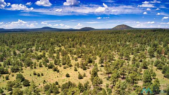 85.3 Acres of Recreational Land for Sale in Ramah, New Mexico