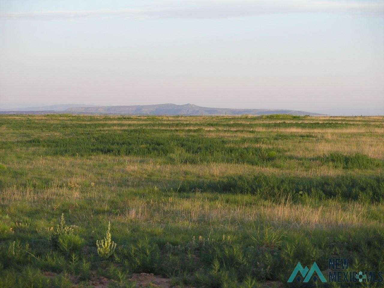 80 Acres of Land for Sale in Roy, New Mexico