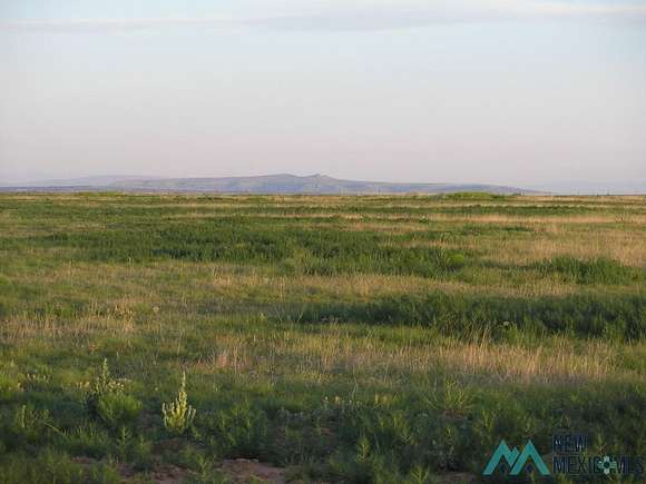 80 Acres of Agricultural Land for Sale in Roy, New Mexico