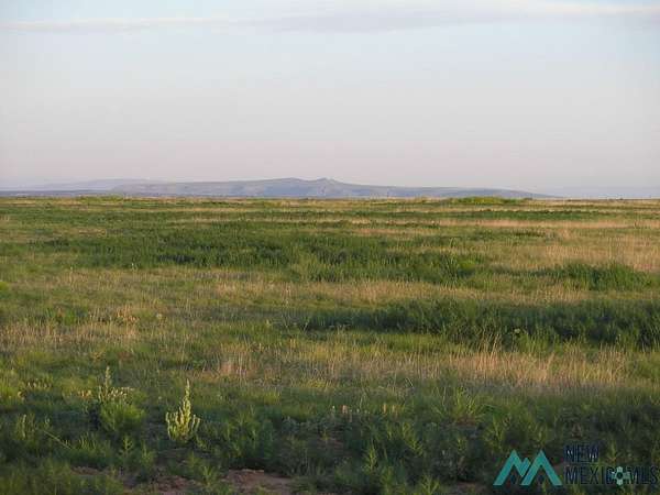 80 Acres of Land for Sale in Roy, New Mexico