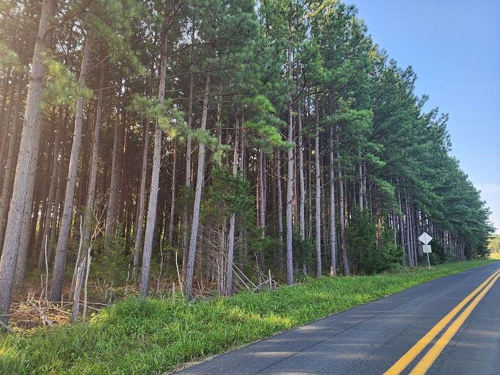 43 Acres of Recreational Land for Sale in Brookneal, Virginia