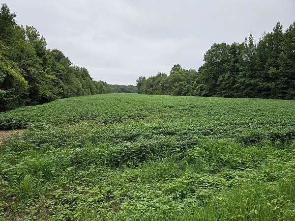 158 Acres of Land for Sale in Henderson, Tennessee