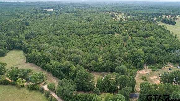 19 Acres of Land for Sale in Troup, Texas