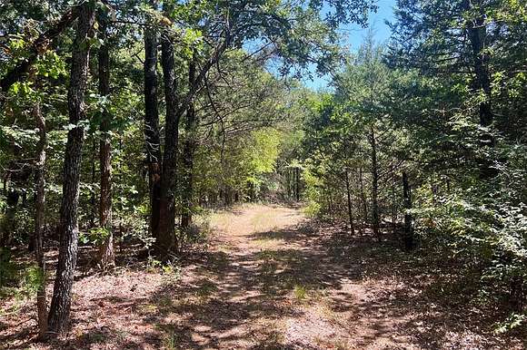 79.3 Acres of Land for Sale in Whitesboro, Texas