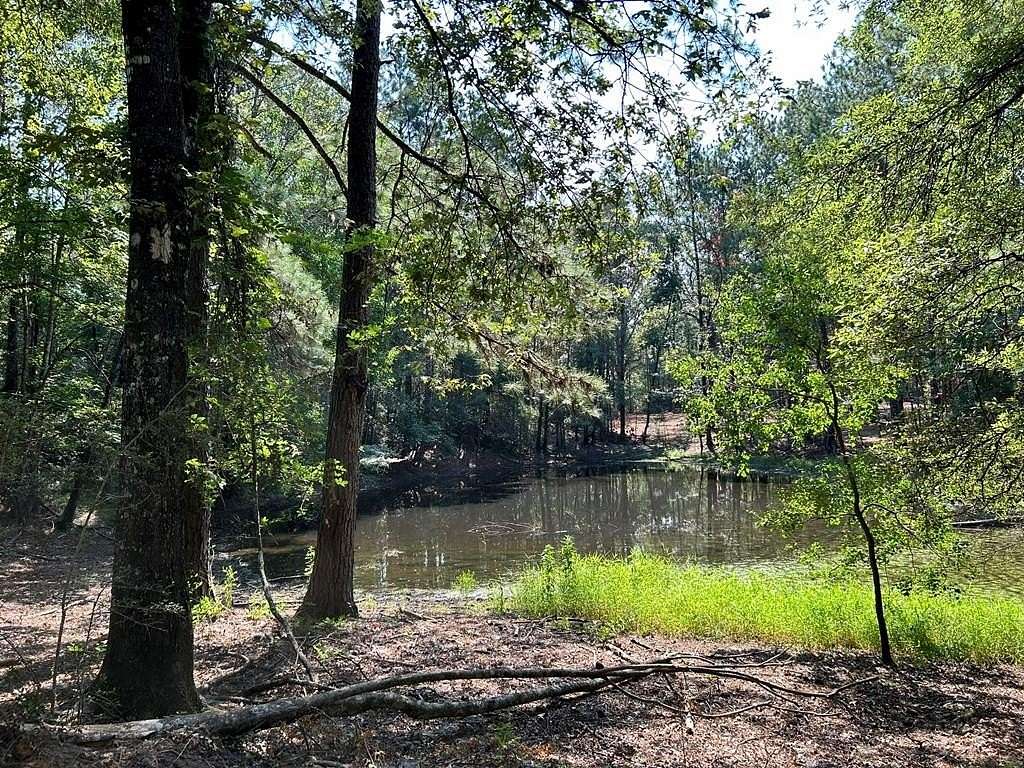 76.02 Acres of Recreational Land for Sale in Spring Creek, Louisiana