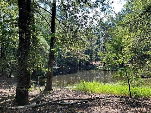 76.02 Acres of Recreational Land for Sale in Spring Creek, Louisiana