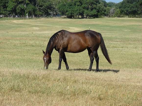 16.985 Acres of Land for Sale in Boerne, Texas