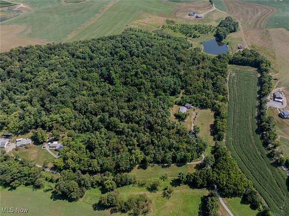 21.5 Acres of Recreational Land with Home for Auction in Baltic, Ohio