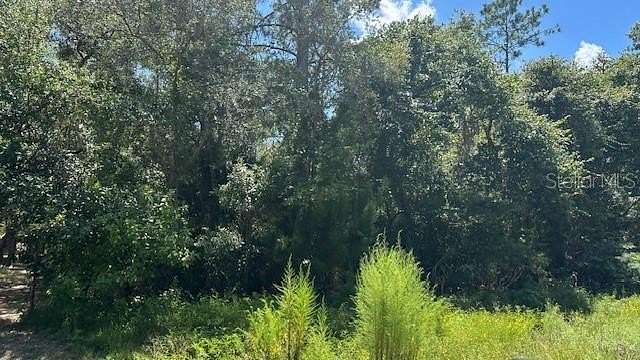 1 Acre of Residential Land for Sale in Bunnell, Florida