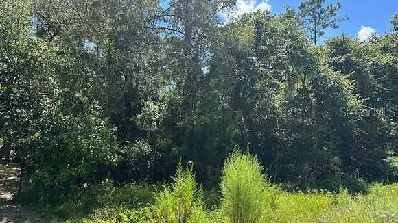 1 Acre of Residential Land for Sale in Bunnell, Florida