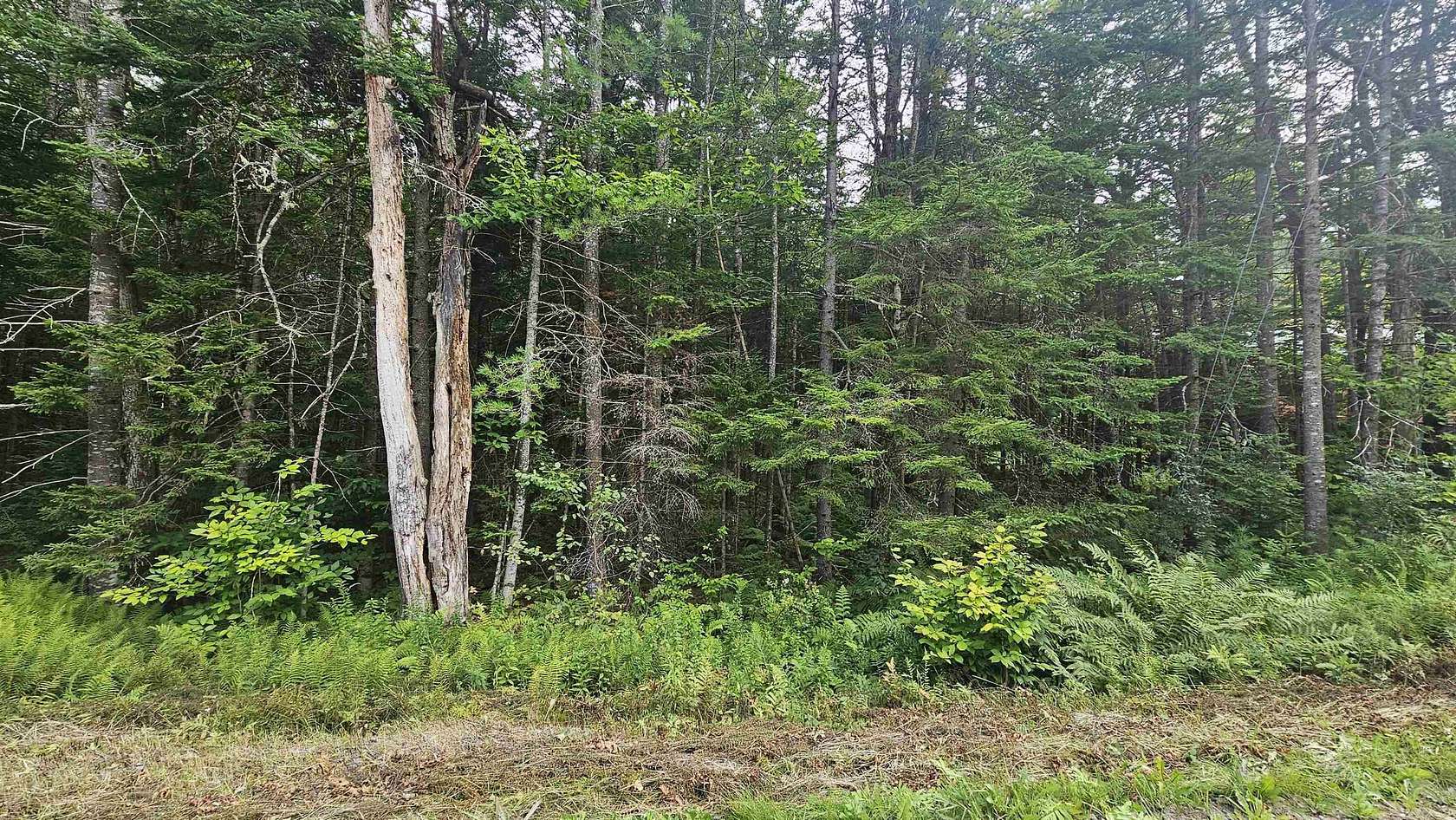 0.8 Acres of Residential Land for Sale in Washington, New Hampshire