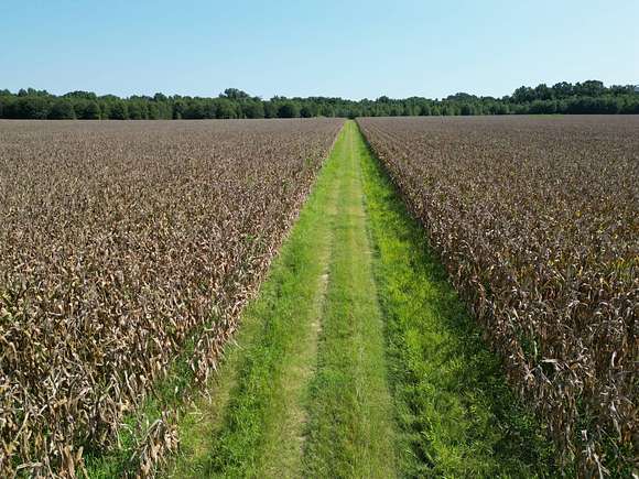 176 Acres of Land for Sale in Extension, Louisiana