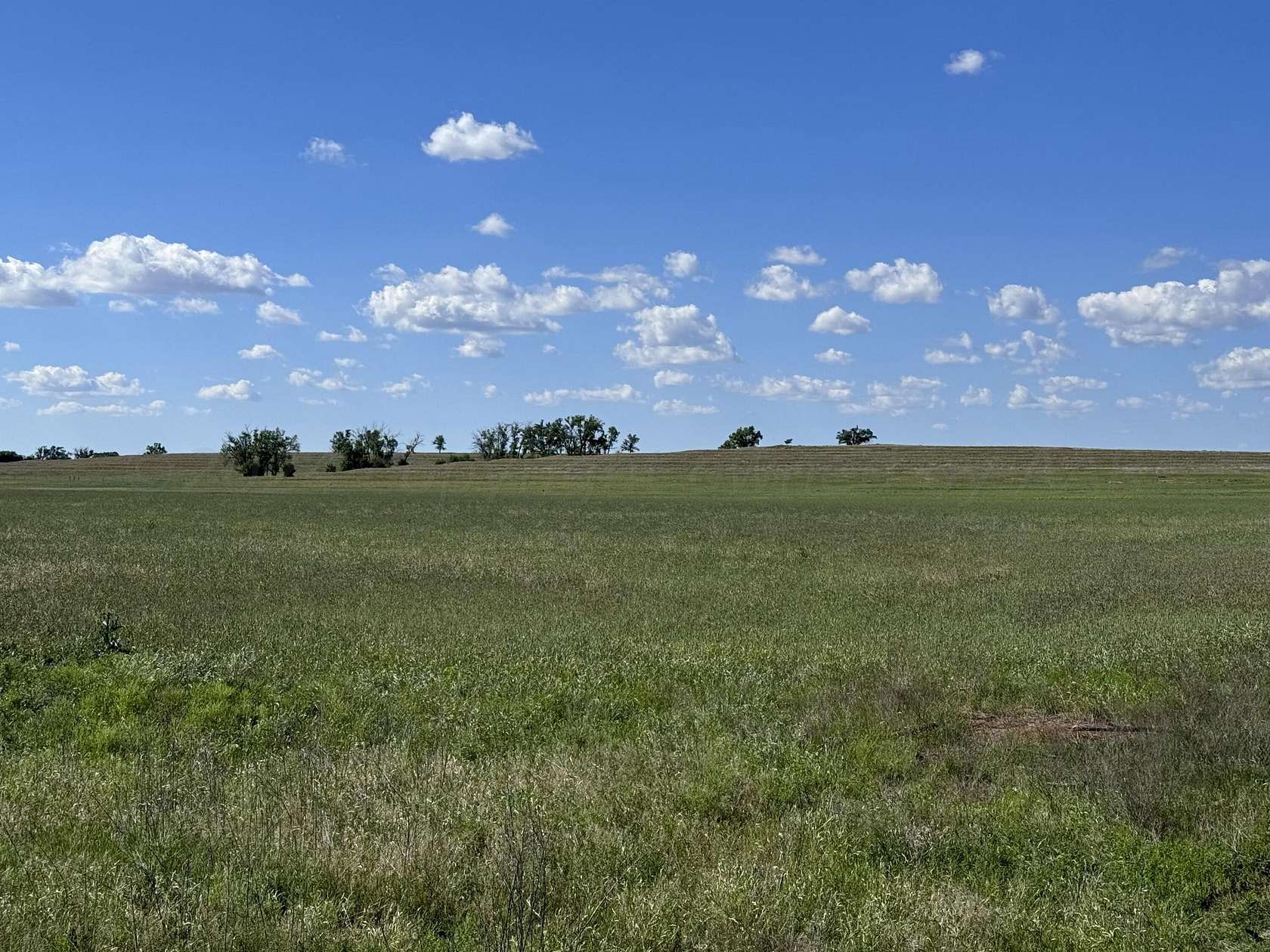 320 Acres of Agricultural Land for Sale in Shamrock, Texas