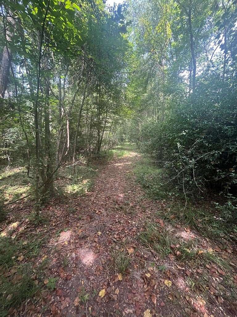 12 Acres of Recreational Land for Sale in Woodville, Mississippi ...