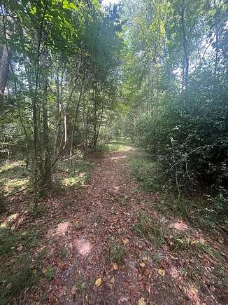 12 Acres of Recreational Land for Sale in Woodville, Mississippi