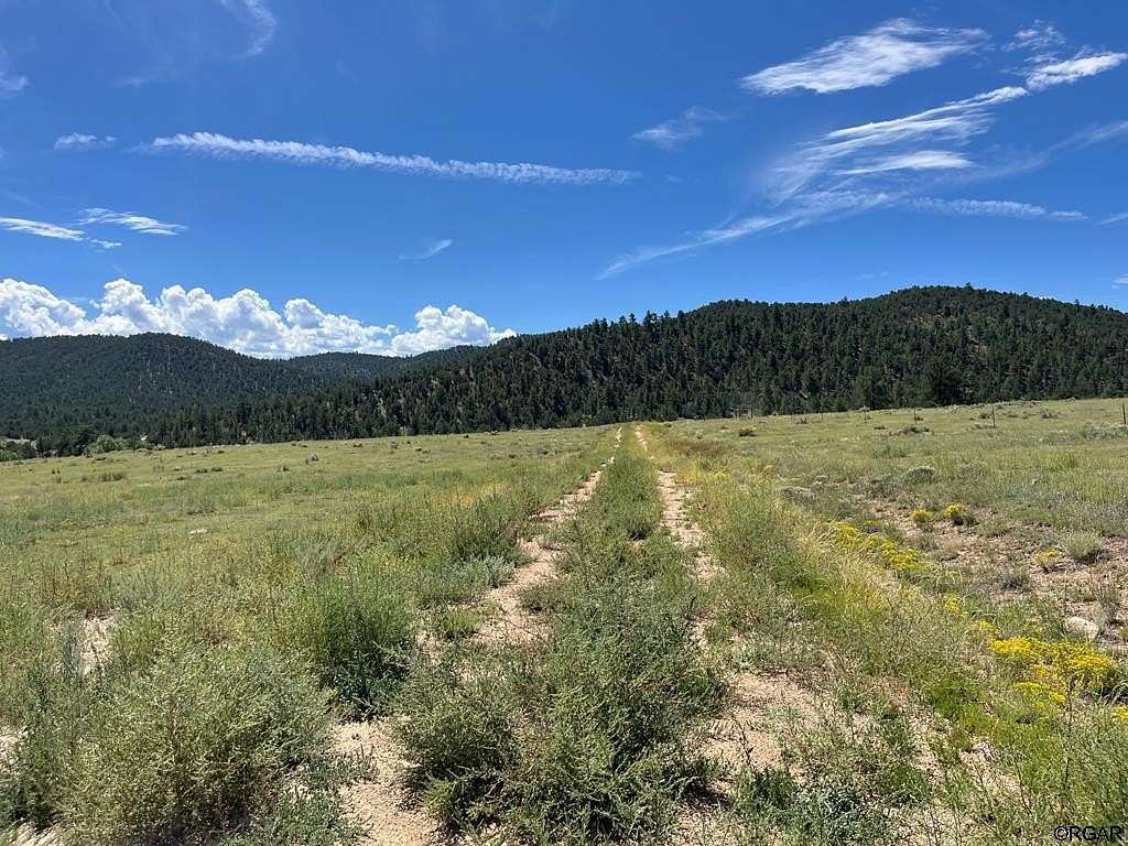 20.5 Acres of Recreational Land & Farm for Sale in Cotopaxi, Colorado