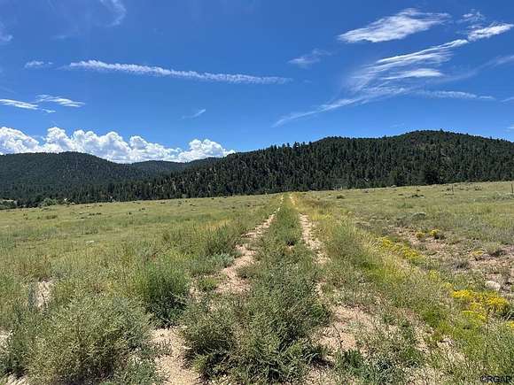 20.5 Acres of Recreational Land & Farm for Sale in Cotopaxi, Colorado