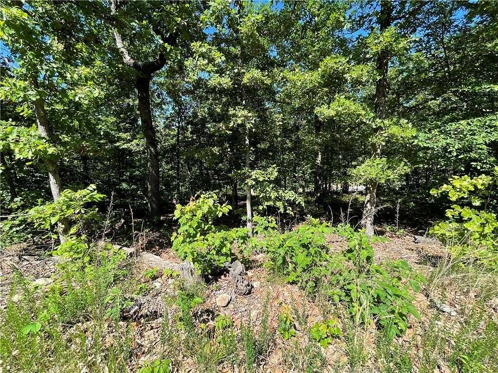 0.23 Acres of Land for Sale in Bella Vista, Arkansas