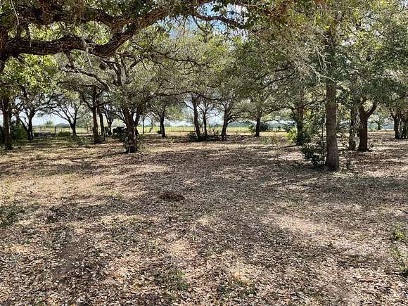 53.44 Acres of Recreational Land for Sale in Yorktown, Texas