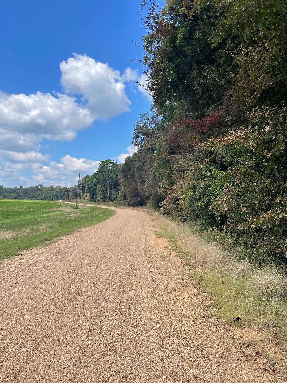 26.76 Acres of Recreational Land for Sale in Star City, Arkansas