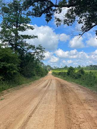 80 Acres of Recreational Land for Sale in Star City, Arkansas