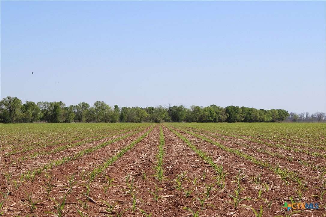 155 Acres of Land for Sale in Marlin, Texas