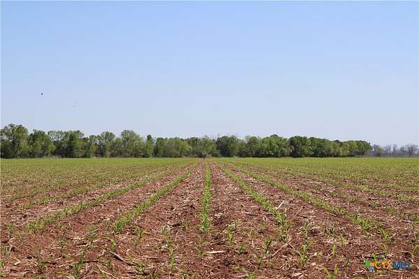 155 Acres of Land for Sale in Marlin, Texas