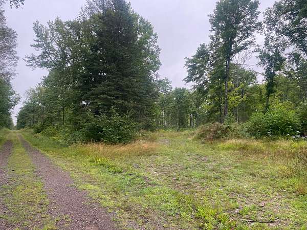 182 Acres of Recreational Land for Sale in Draper, Wisconsin