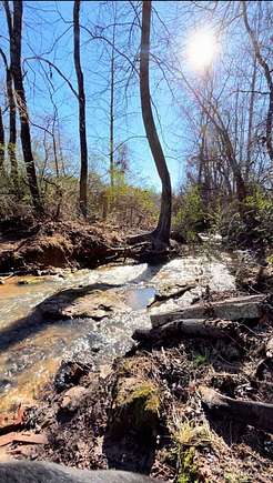 20 Acres of Agricultural Land for Sale in Taylorsville, North Carolina