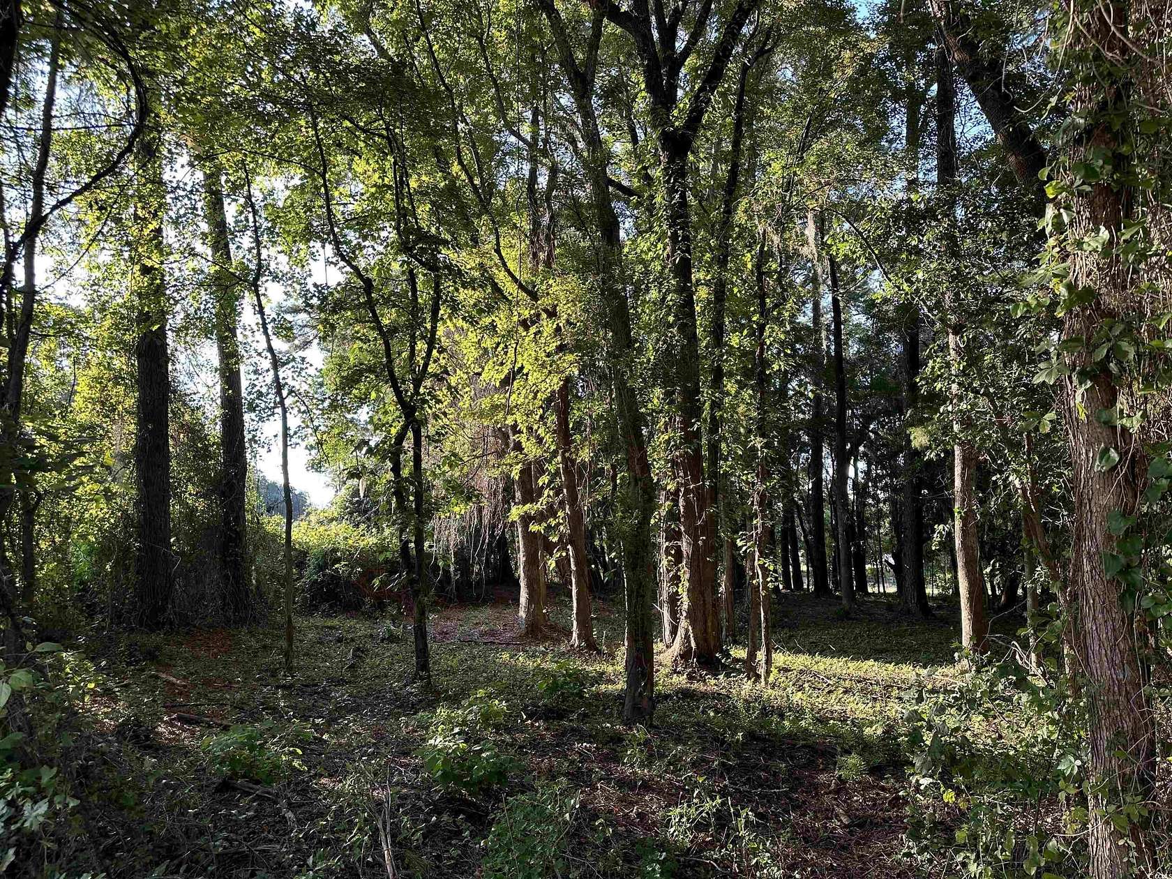 0.35 Acres of Residential Land for Sale in Georgetown, South Carolina