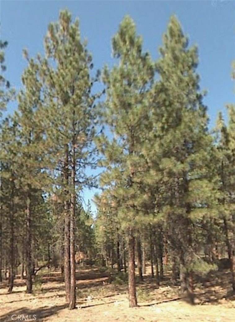 3.83 Acres of Land for Sale in Lookout, California